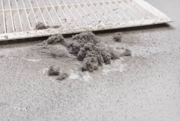 Best Air Duct Cleaning Company Near Me  in Spinnerstown, PA