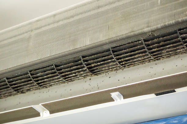 Best Duct Cleaning Specialists  in Spinnerstown, PA